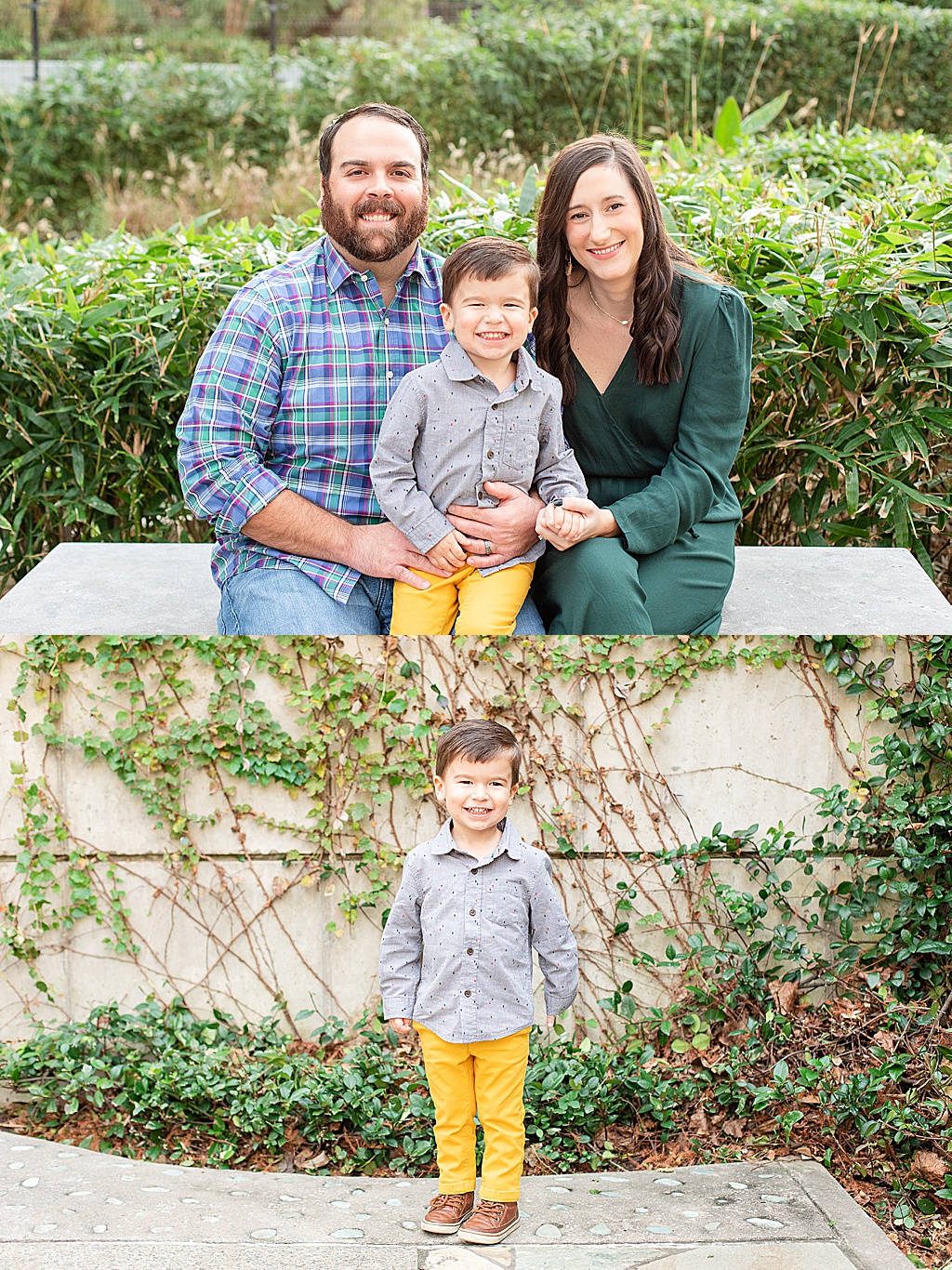 the woodlands family portraits 